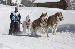 Kandersteg 2013